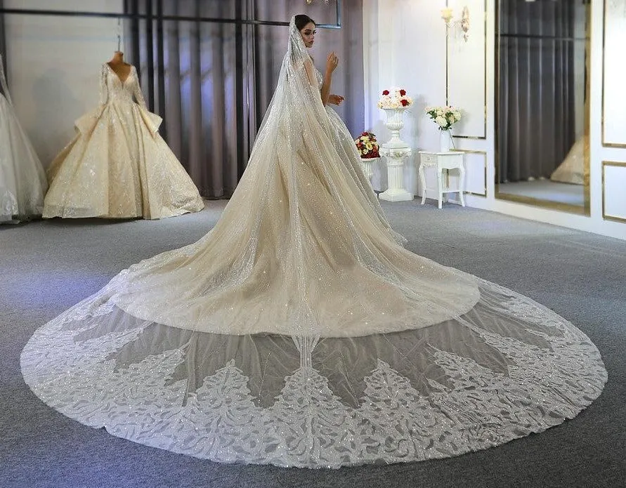 Luxury Wedding Dress With Long Lace Veil